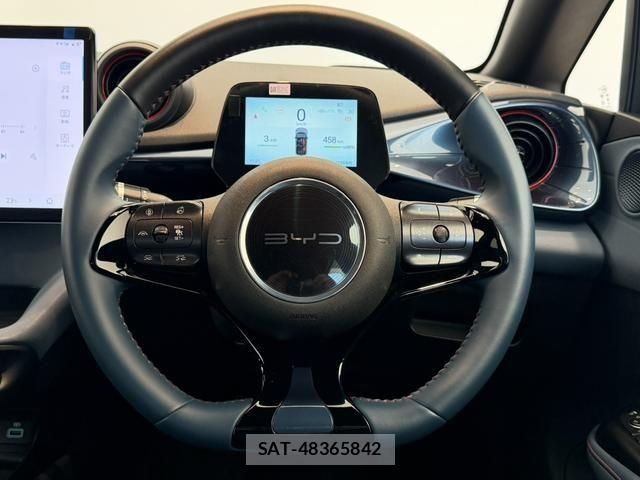 BYD Dolphin 2025-07 8658292-11