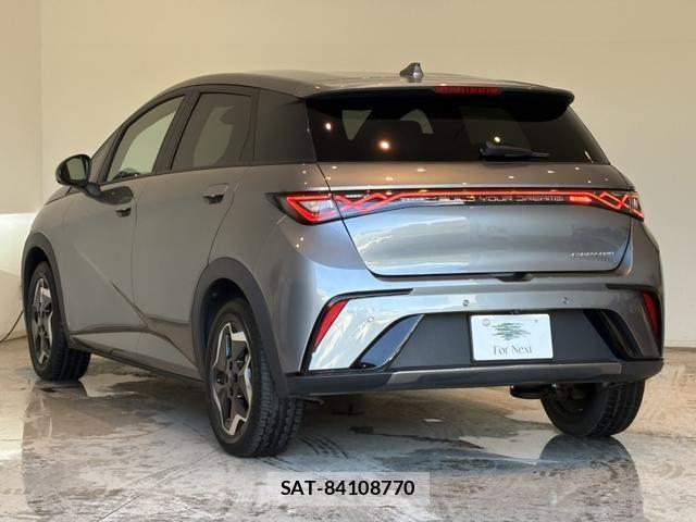 BYD Dolphin 2024-12 8665897-1