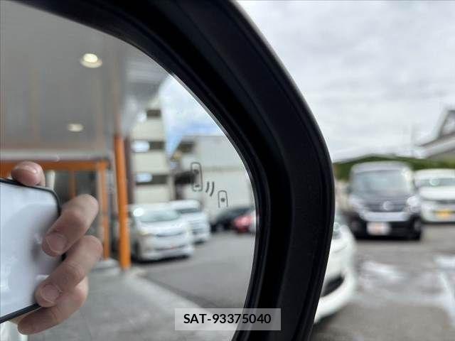 Toyota C-HR 2017-11 1166894-5