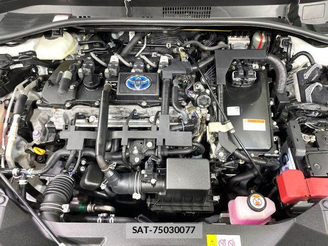 Toyota C-HR 2019-01 7250128-17