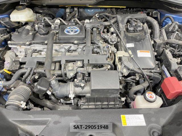 Toyota C-HR 2017-06 8098472-17