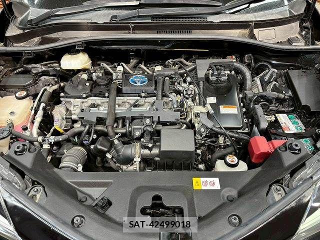 Toyota C-HR 2020-08 8485148-19