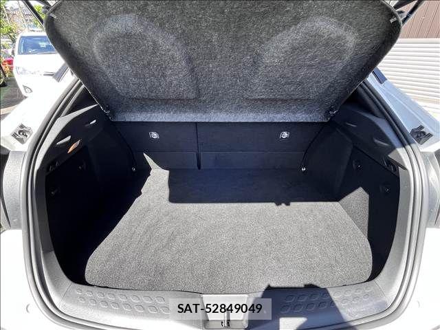 Toyota C-HR 2018-03 8561401-14
