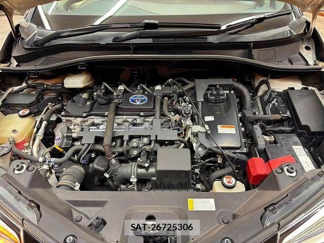 Toyota C-HR 2017-07 8741161-13