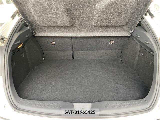 Toyota C-HR 2017-11 8741146-15