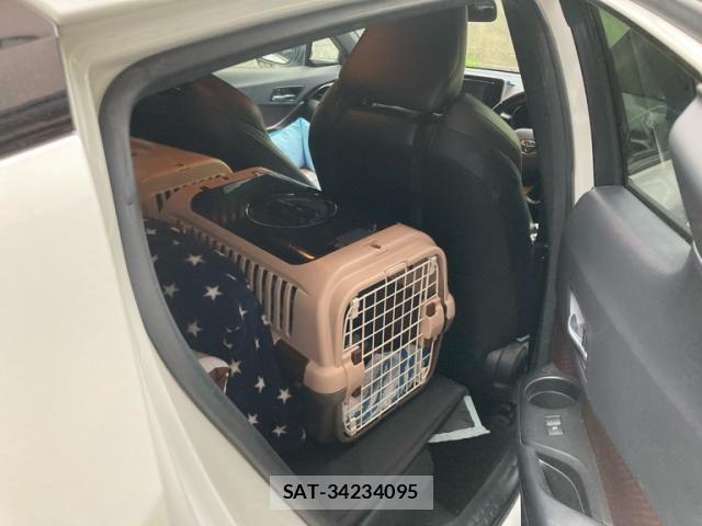 Toyota C-HR 2019-02 8795485-12
