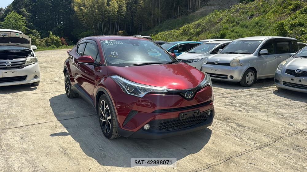 Toyota C-HR 2017 6634474-6