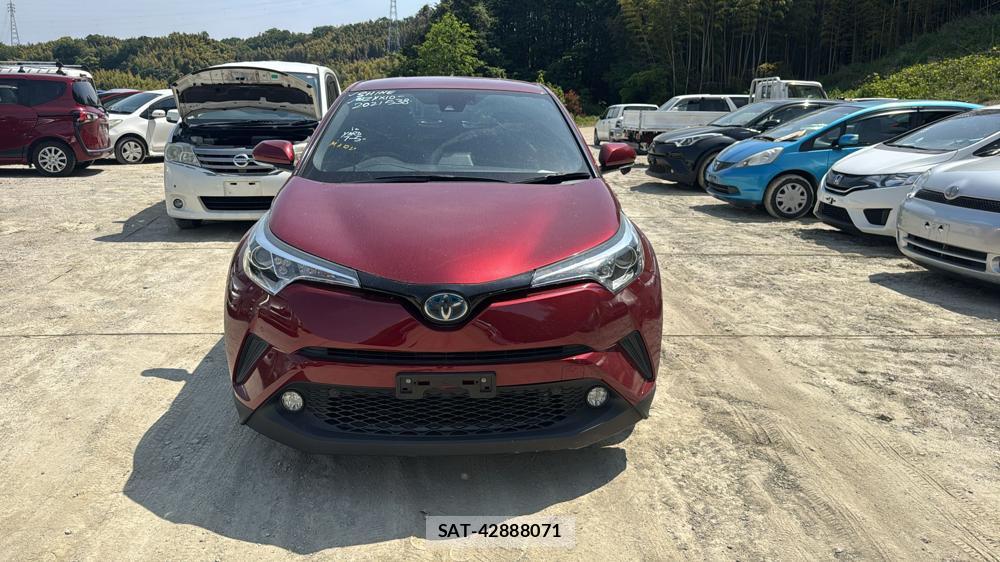 Toyota C-HR 2017 6634474-7