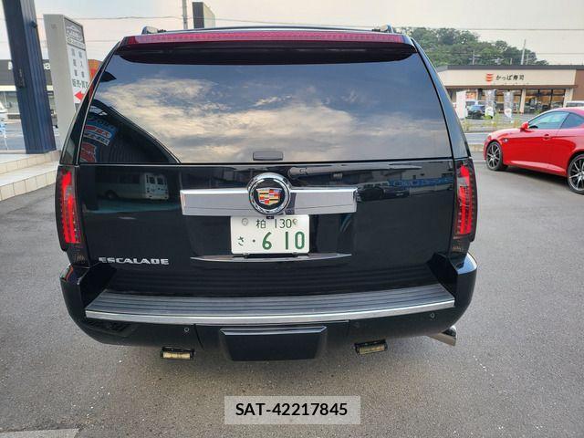 Cadillac ESCALADE 2010-06 1136314-16