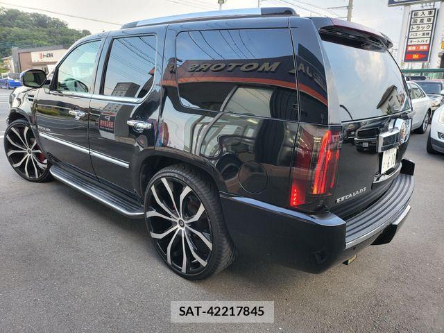 Cadillac ESCALADE 2010-06 1136314-1