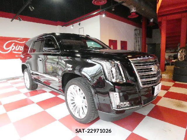 Cadillac ESCALADE 2018-12 6275946-9