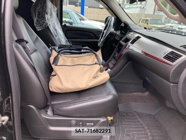 Cadillac ESCALADE 2010-02 7615346-16