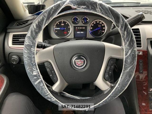 Cadillac ESCALADE 2010-02 7615346-25