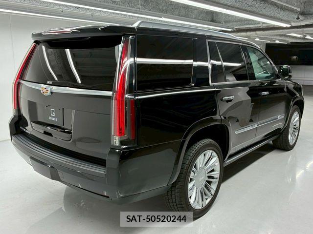 Cadillac ESCALADE 2017-04 7875636-13
