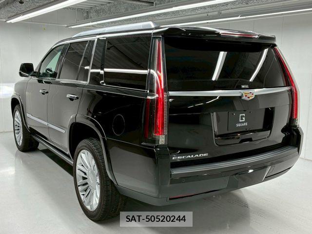 Cadillac ESCALADE 2017-04 7875636-15