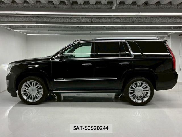 Cadillac ESCALADE 2017-04 7875636-16