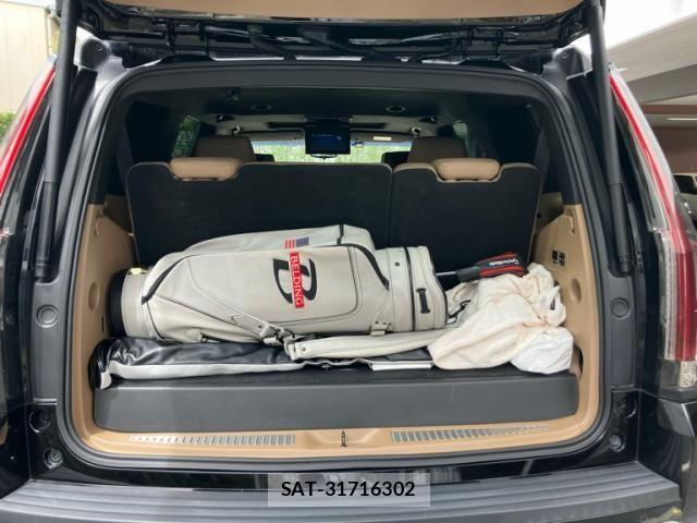 Cadillac ESCALADE 2020-03 8371504-16