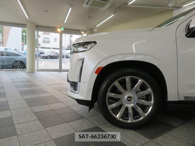 Cadillac ESCALADE 2021-09 8523860-26