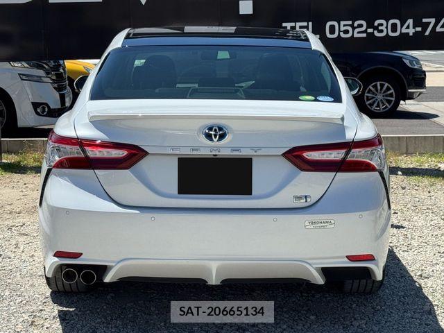 Toyota CAMRY HYBRID 2019-01 7215701-15