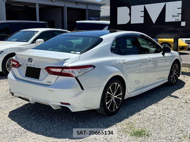 Toyota CAMRY HYBRID 2019-01 7215701-19