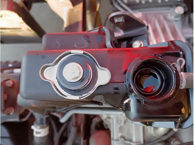 Mitsubishi CANTER 2019-07 1601667-13