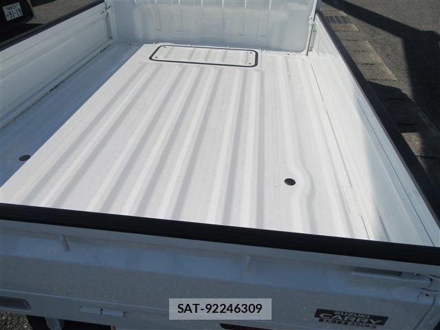 Suzuki CARRY TRUCK 2025-11 7453367-3