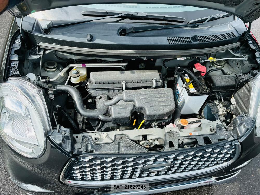 Daihatsu CAST 2019-11 8665583-38
