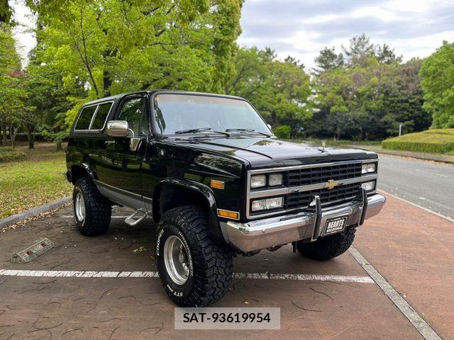 Chevrolet BLAZER 1991-06 7020176-3