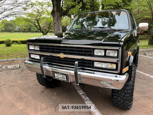 Chevrolet BLAZER 1991-06 7020176-6