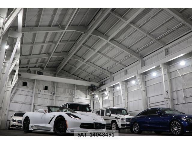 Chevrolet CORVETTE 2014-06 8098456-16