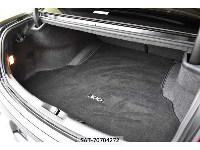 Chrysler 300 2015-11 8034817-5