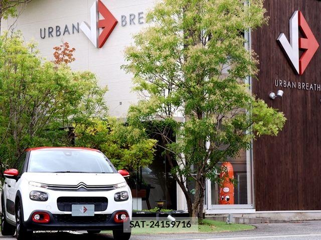 Citroen C3 2019-03 8828227-6
