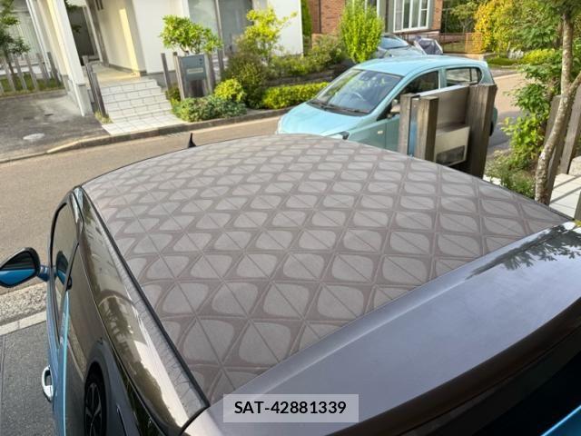Citroen DS3 2016-08 7615527-6