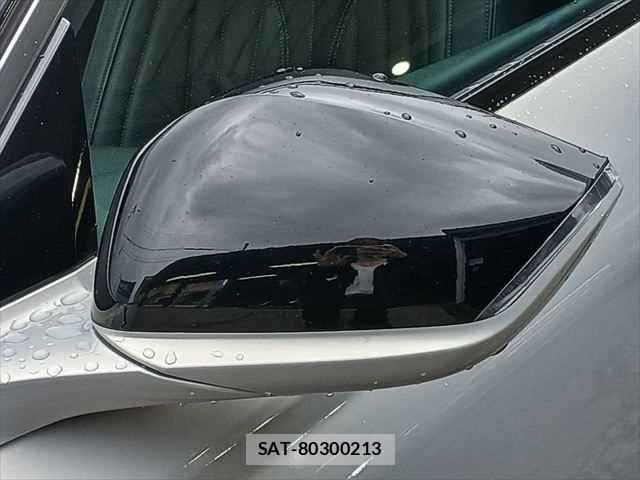 Citroen DS4 2022-08 7875762-23