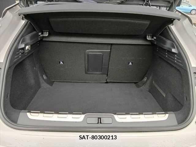 Citroen DS4 2022-08 7875762-8