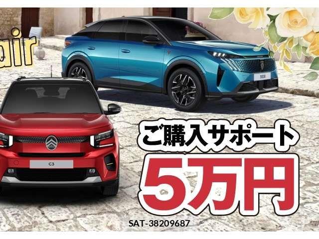 Citroen DS7 2024-10 4934225-2