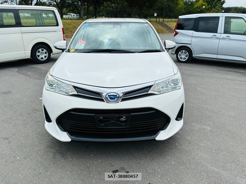 Toyota COROLLA AXIO 2019-08 8543896-7