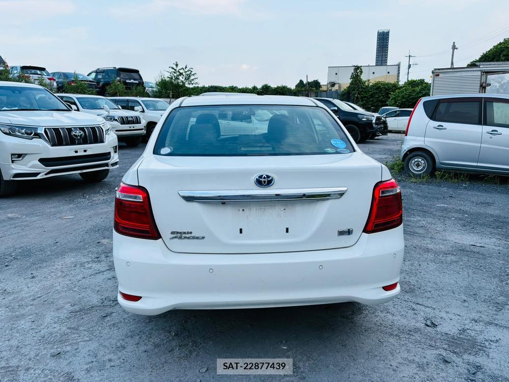 Toyota COROLLA AXIO 2019 7171833-3