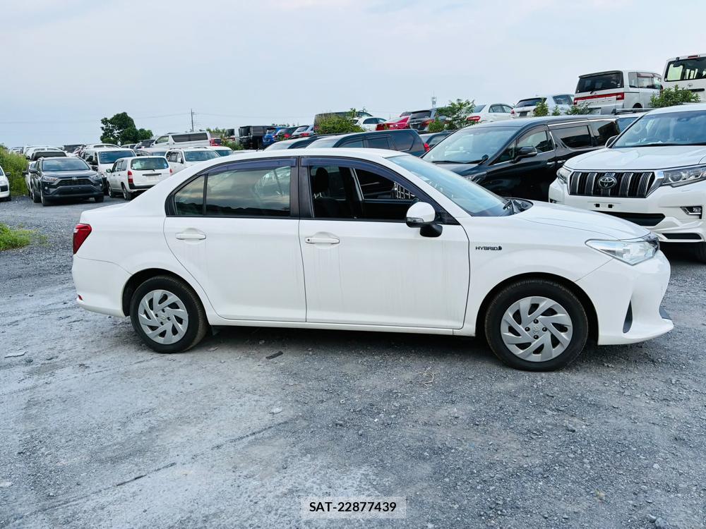 Toyota COROLLA AXIO 2019 7171833-5