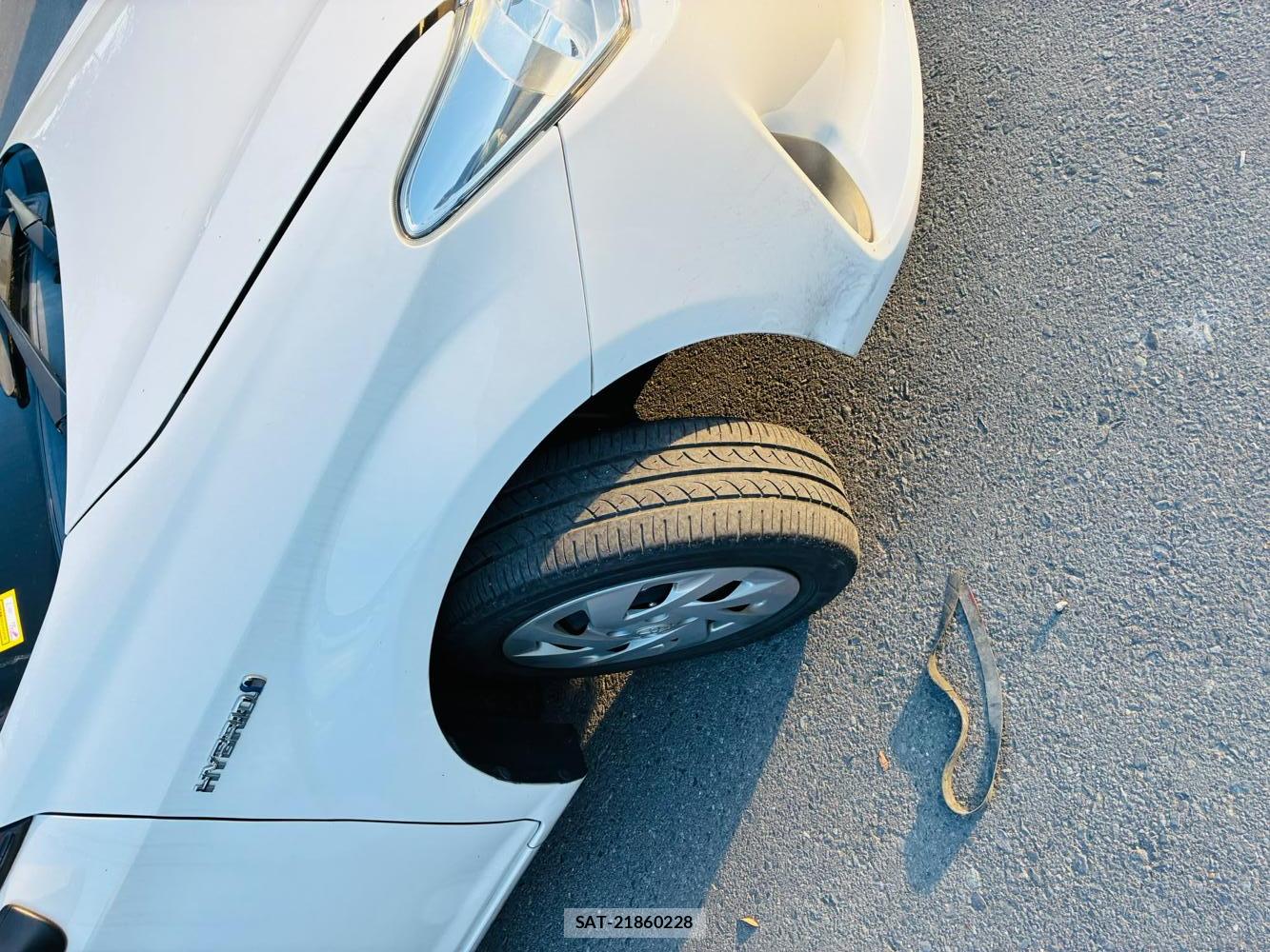 Toyota COROLLA AXIO 2019-03 8282296-28