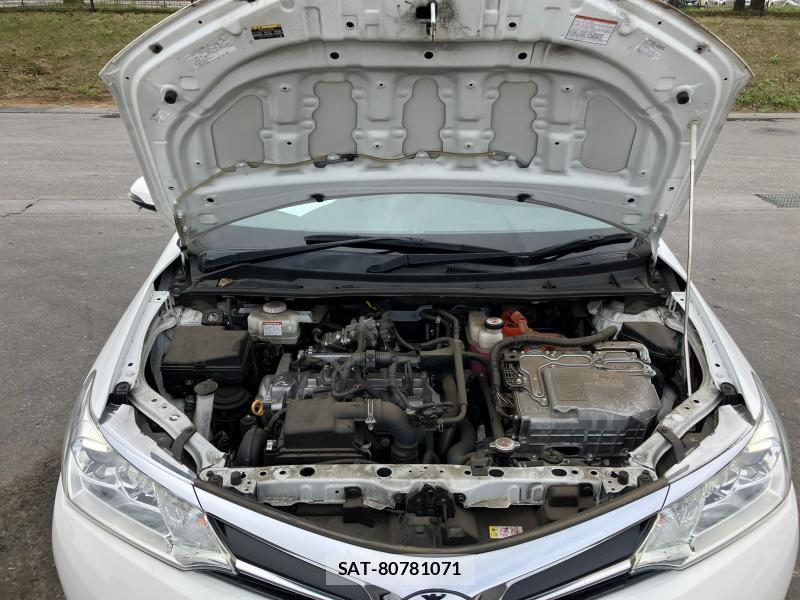 Toyota COROLLA FIELDER 2019 1268866-30