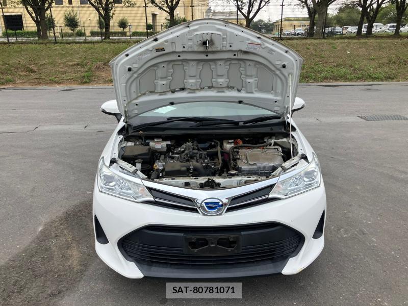 Toyota COROLLA FIELDER 2019 1268866-31