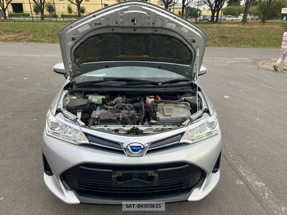 Toyota COROLLA FIELDER 2018 1277469-31
