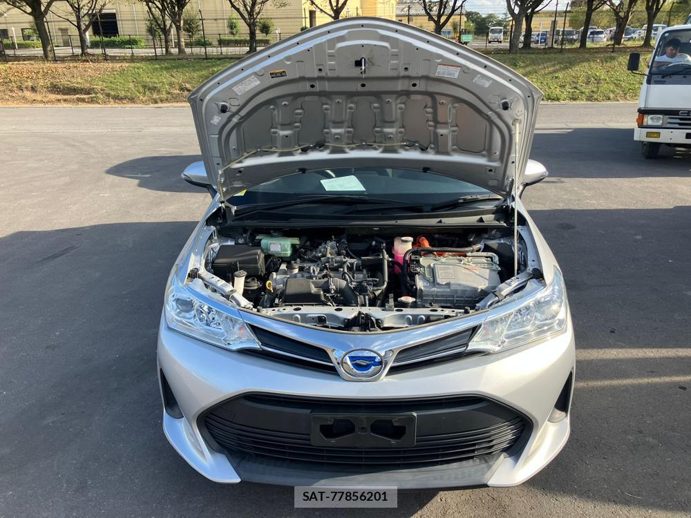 Toyota COROLLA FIELDER 2018 1295212-30