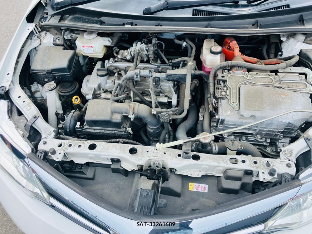 Toyota COROLLA FIELDER 2019 1300113-27