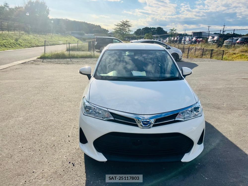 Toyota COROLLA FIELDER 2019 1334551-7
