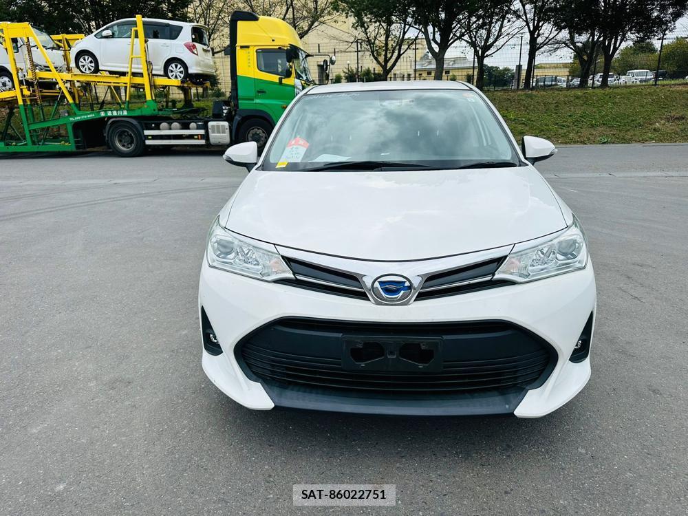 Toyota COROLLA FIELDER 2019 1305386-7