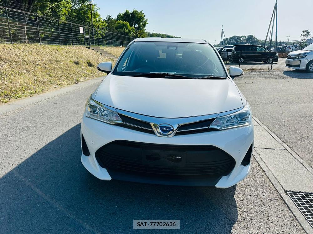 Toyota COROLLA FIELDER 2019 6787090-7