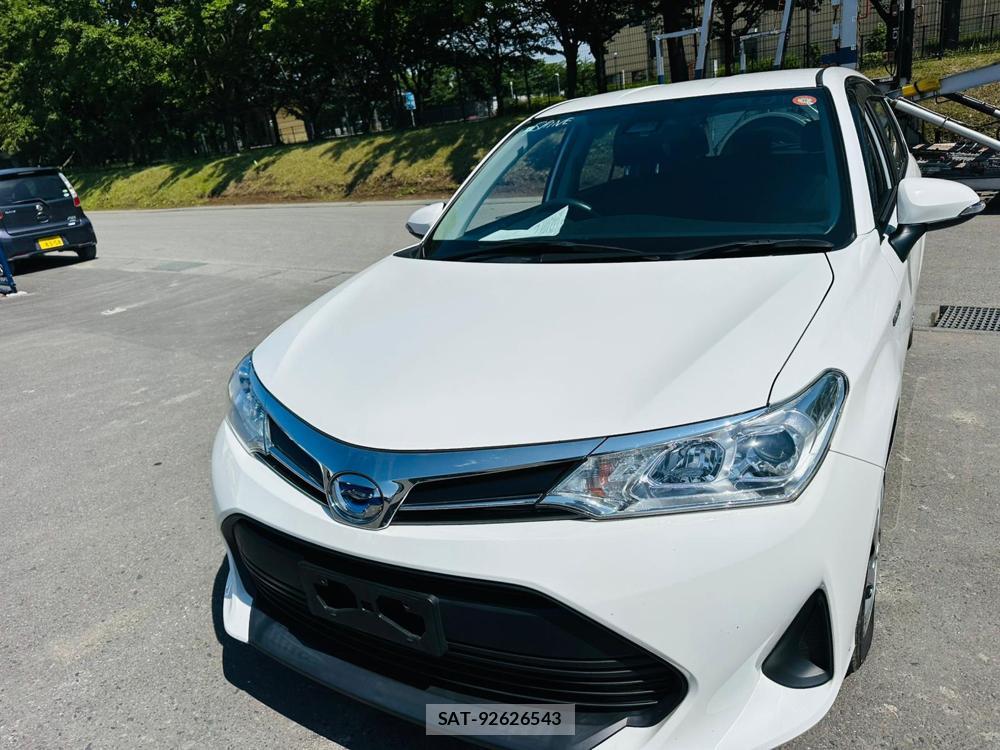 Toyota COROLLA FIELDER 2019 7193925-0