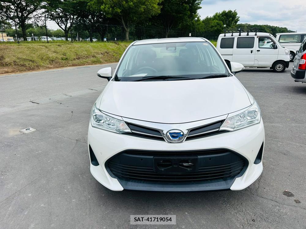Toyota COROLLA FIELDER 2019 7216374-7